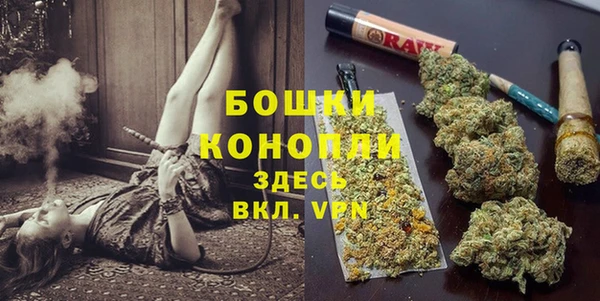 индика Остров