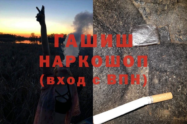 ГАЛЛЮЦИНОГЕННЫЕ ГРИБЫ Верея