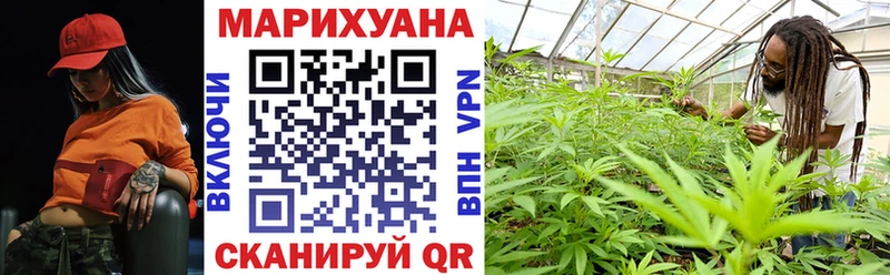 Бошки марихуана конопля  как найти закладки  Куса 